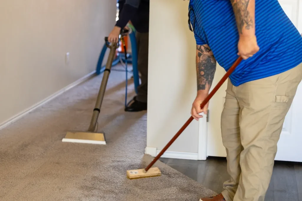 Mighty Waters technicians deep cleaning a carpet